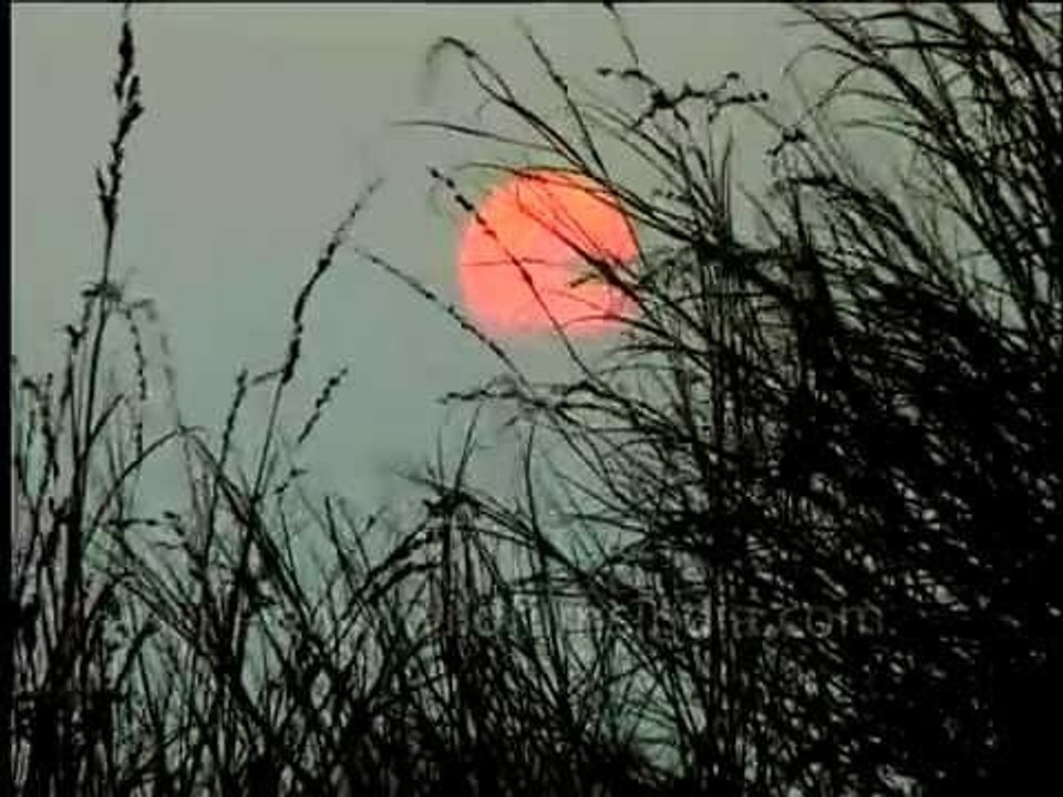 Sunset over an Indian grassland