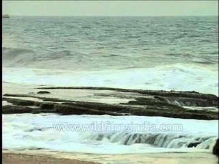 Tidal waves advancing toward the sea shore