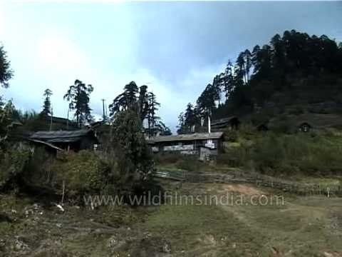 Preparing for the night in the foothills of Kanchenjunga