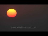 Red sun drowning in National Chambal Sanctuary, Madhya Pradesh