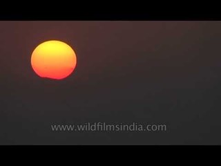 Video herunterladen: Red sun drowning in National Chambal Sanctuary, Madhya Pradesh