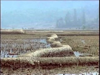 Sustainable agriculture lessons from India's Arunachal Pradesh