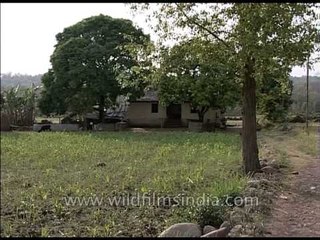 Houses in Uttarakhand Villages, India