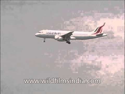 Sri Lankan Airlines Limited aircraft lands at IGI Airstrip, Delhi