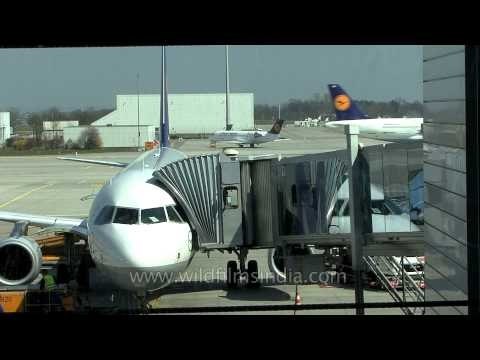 Lufthansa Airplanes at Cannes