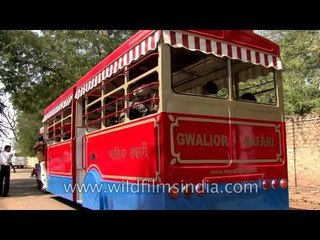 Gwalior Safari on multi seater auto rickshaw