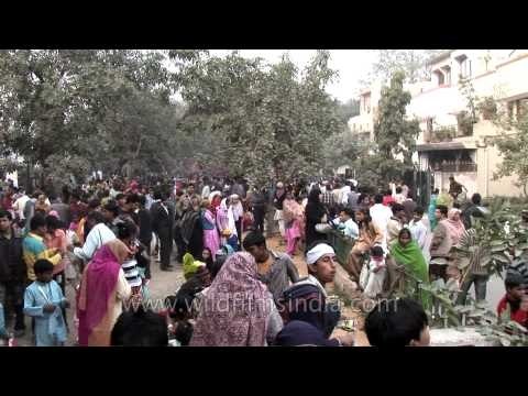 Shia Muslims performing Muharram possession at Imambara