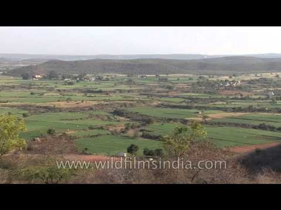Aerial view of vast green fields of Gwalior