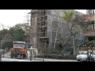 Trees being cut in Safdarjung Enclave