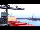 Deck crane lifting heavy consignments at Paradip Port