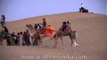 View the fragile and beautiful ecosystem of Thar desert riding on Camels back