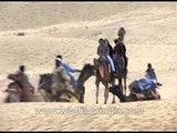 Enjoy folk dancers and musicians performing amidst Camel safari in the Thar Desert