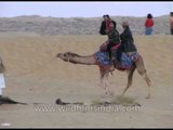 Thar Desert safari on camels near Jaisalmer