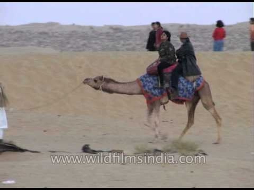 Thar Desert safari on camels near Jaisalmer