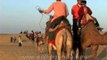 Camel ride in the Thar desert near Jaisalmer, Rajasthan