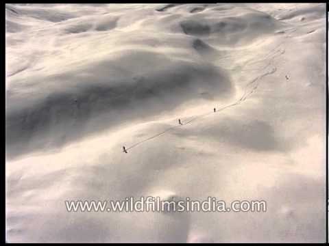 An aerial view of Heli-skiing over the snowy Himalaya