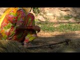 Woman making broomstick in rural Uttar Pradesh!