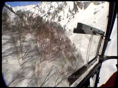 Skiers board chopper to set out for Heli-skiing