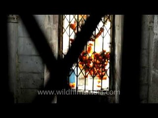 Amruteshwar temple in Kalsubai peak of Sahyadri mountain range, Maharashtra