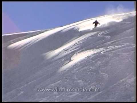 Heli-skiing: The coolest sport