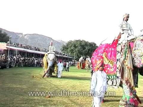 Elephants dressed in colorful attires at the Jaipur Elephant Festival procession