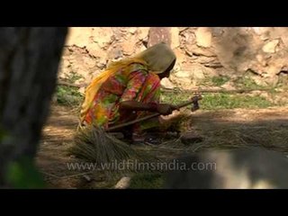 An old lady making broom in a village in Uttar Pradesh