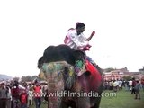 Sitting atop an elephant and throwing colour at each other during Holi