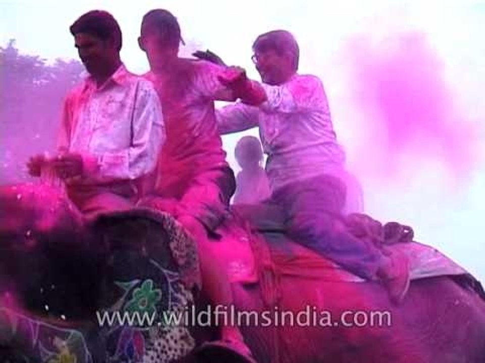 Playing Holi while riding an elephant looks fun!