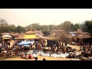 People in search of traditional homemade products: Surajkund Mela