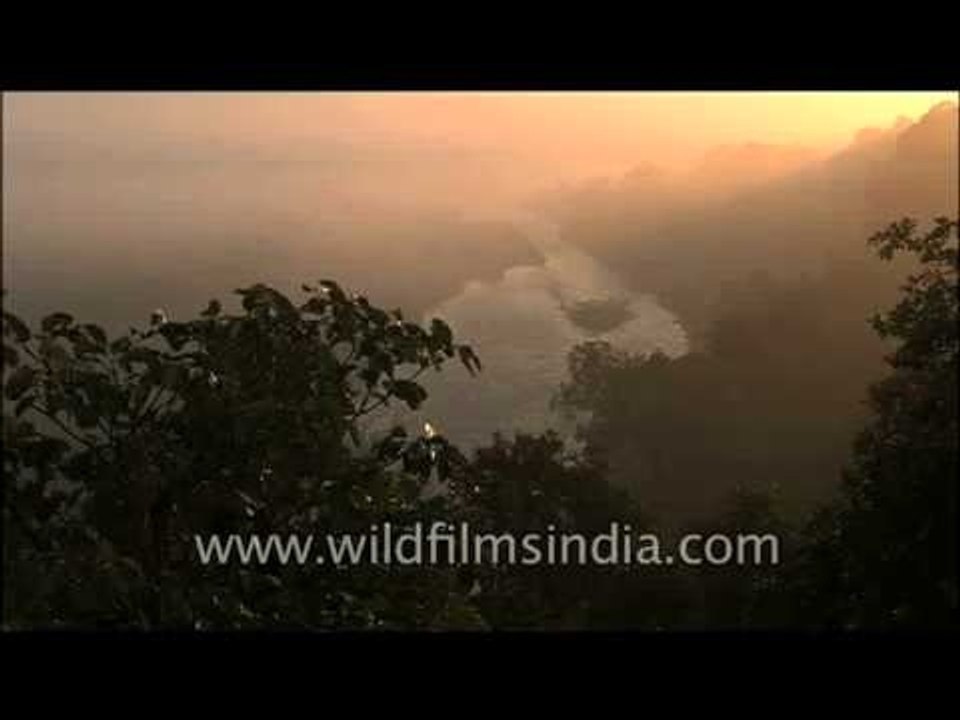 One calm misty evening in Corbett National Park