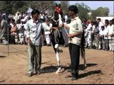 Pushkar Cattle Fair - May the best horse win!