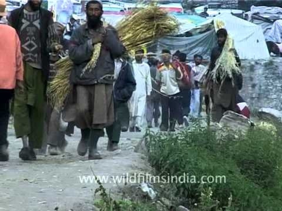 Amarnath Yatra base camp, Jammu and Kashmir