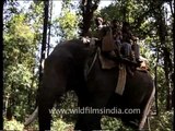 Elephant safari in Kanha National Park, Madhya Pradesh