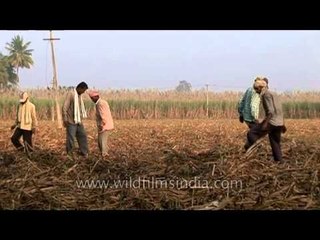 Farmers of karnataka state, India