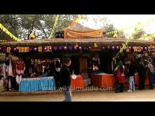 Video herunterladen: Rural ambience feel at the 27th Surajkund International Crafts Mela