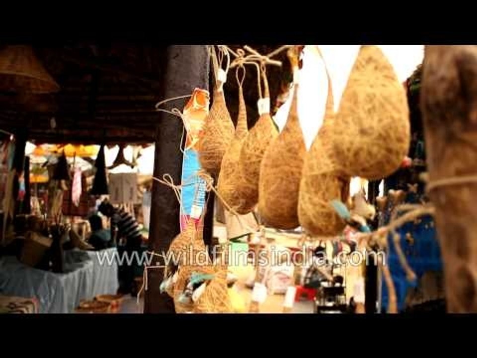 States from India at their best at Surajkund Mela-2013