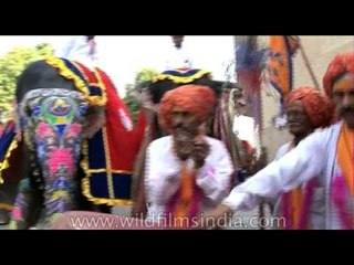 Elephants move with poise in pageant a before Holi celebrations!