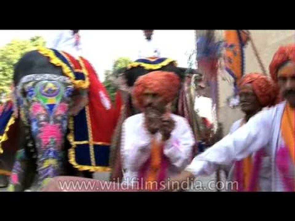 Elephants move with poise in pageant a before Holi celebrations!