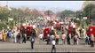 Decorated elephants parade during the Jaipur Elephant Festival at Holi