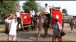 Decorated elephants move with poise in pageant at the Jaipur Elephant Festival