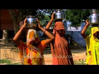 Download Video: Village women carrying pots filled with water