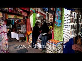 Indian cultural panorama and hub stop at Dilli Haat