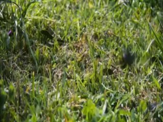 Son Durak 4 3D - Fragman