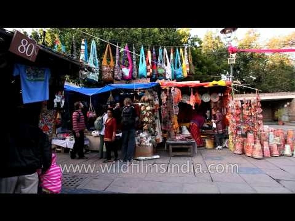 Designer handbags for women in craft bazaar, Dilli haat