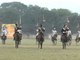 The Sport of Kings : Horse Polo