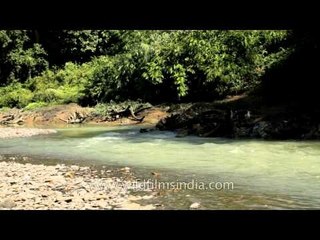Nagaland Doyang river
