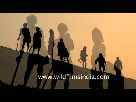 Amazing silhouette shot of farmers in the evening, Sonepur Cattle Fair