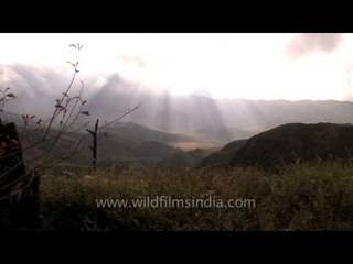 Dzukou Valley : A paradise for trekkers in Nagaland