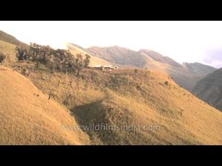 Landscape of Dzukou valley resembling a mowed lawn, Nagaland