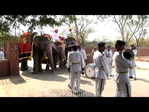 Rows of elephants do a catwalk at the Jaipur Elephant Festival